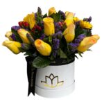 Box 24 Rosas