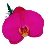 Orquídea Fucsia