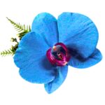 Orquídea Turquesa