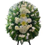 Corona Blanca Little