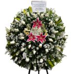 Corona Paz