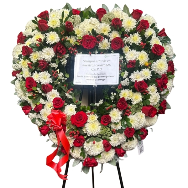 FÚNEBRE MEJORADOS (12)