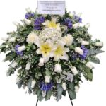 Lágrima Pedestal Agapanto