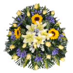 Lágrima Girasoles