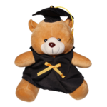 Osito Graduado 2