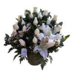 Serenidad Blanca