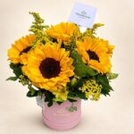 Box 7 Girasoles/FA