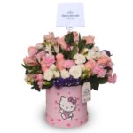 Box Hello Kitty 1