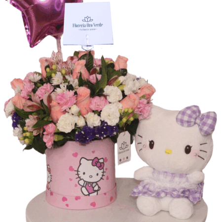 Box Hello Kitty 2