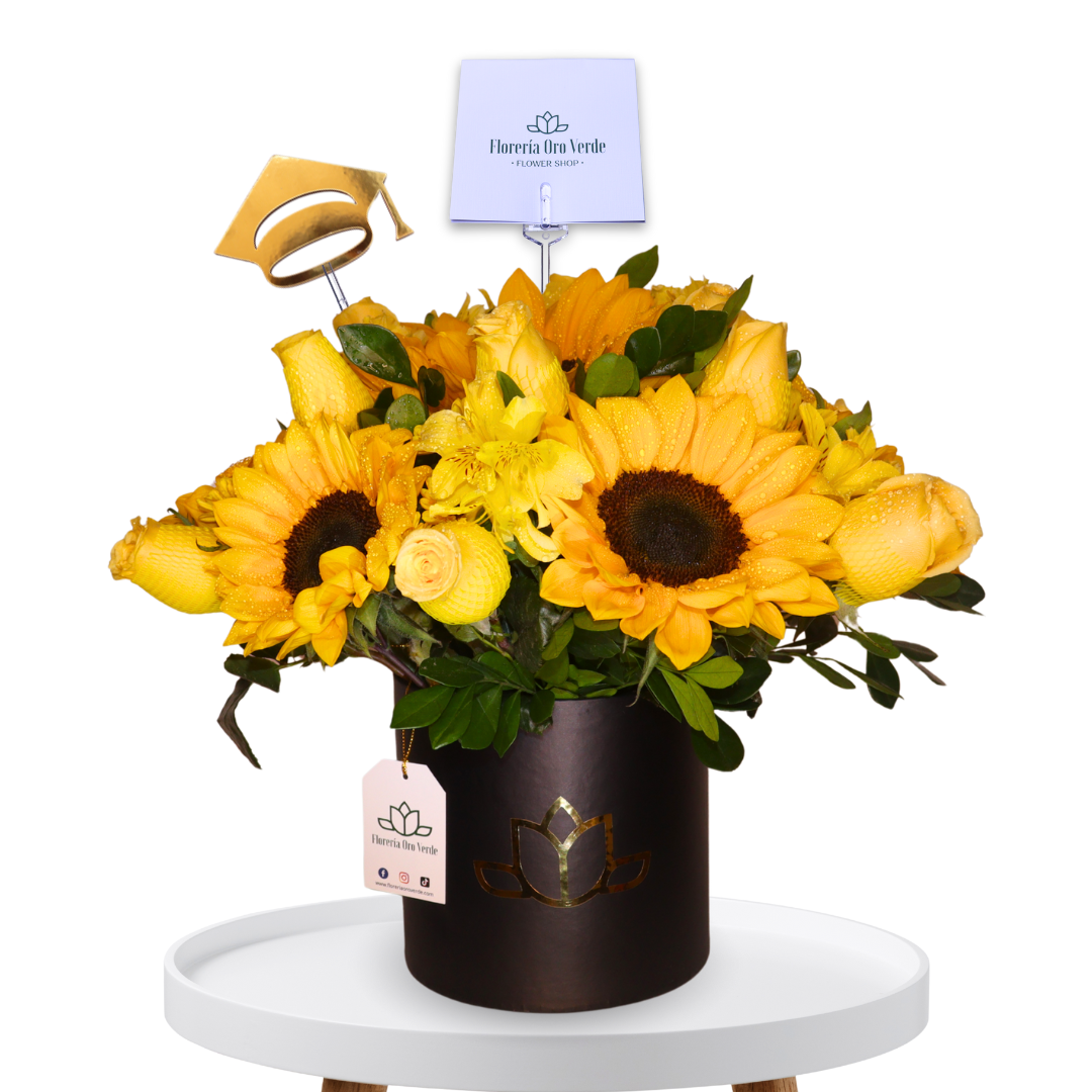 arreglo graduación 4