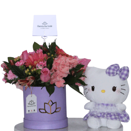 Box Hello Kitty 3
