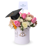 Box Graduación 2