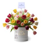 Box 35 Tulipanes