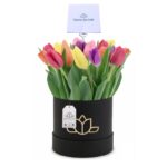 Box 20 Tulipanes