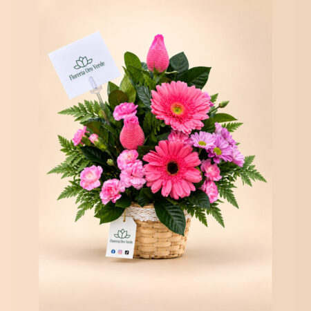Cesta de Amor